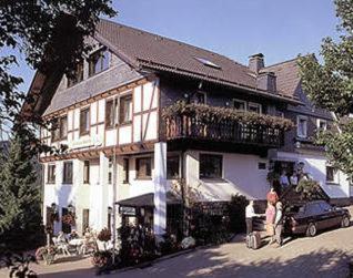 Pension Zur Schonen Aussicht Hallenberg Ngoại thất bức ảnh